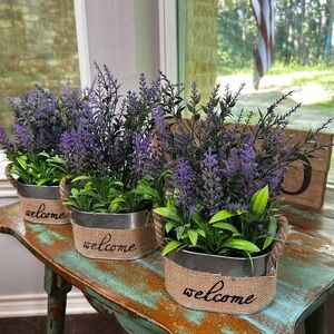 Lavender Welcome Planter Set